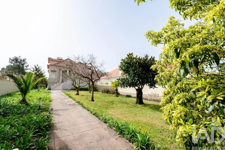 Moradia para Venda em Ovar, São João, Arada e São Vicente de Pereira Jusã Foto 6