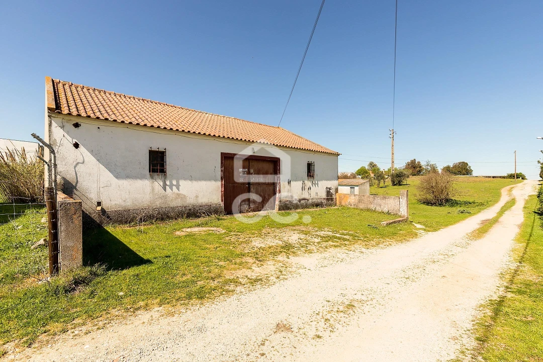 Terreno para Venda em Bacelo e Senhora da Saúde Foto 3