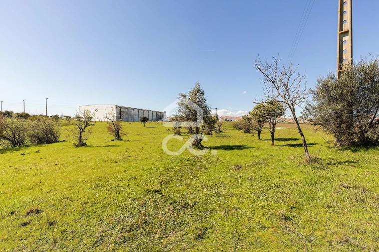 Terreno para Venda em Bacelo e Senhora da Saúde Foto 4
