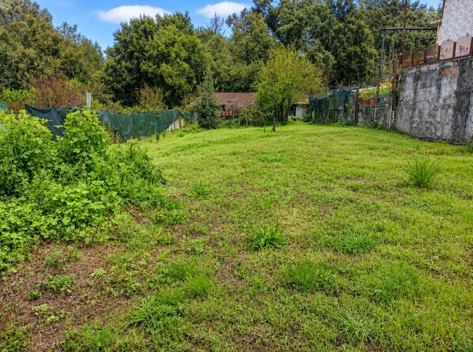 Terreno para Venda em Alfena Foto 2
