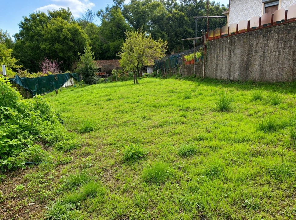 Terreno para Venda em Alfena Foto 7