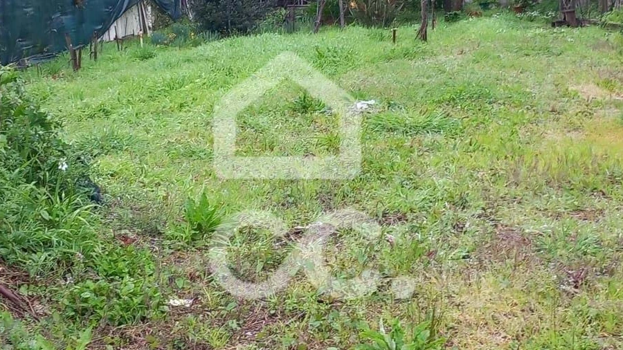 Terreno para Venda em Alfena