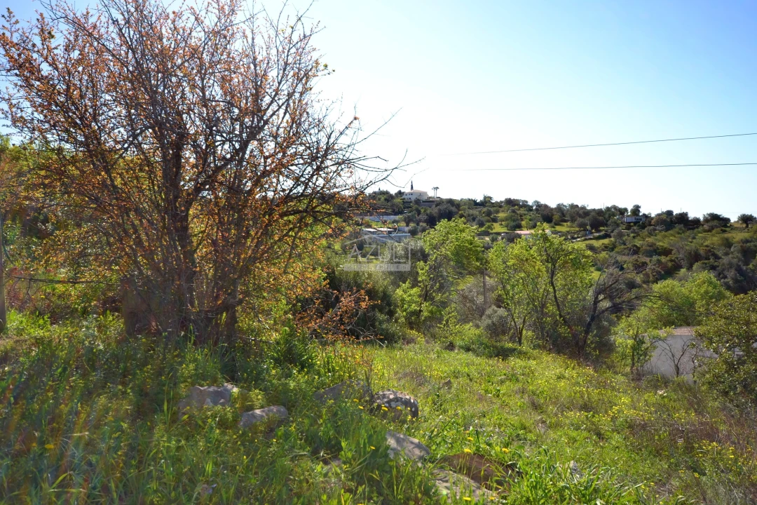Terreno para Venda em Boliqueime Foto 7