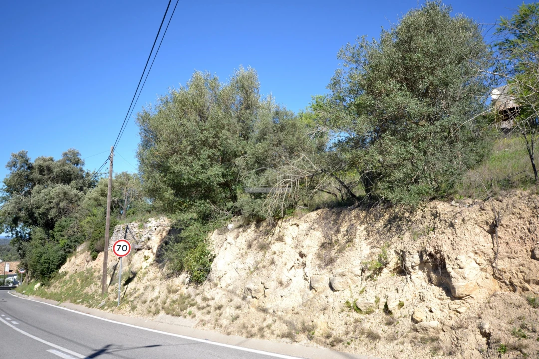Terreno para Venda em Boliqueime Foto 34