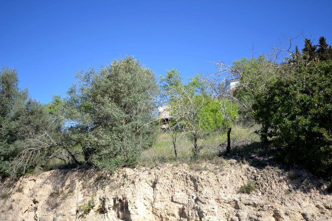 Terreno para Venda em Boliqueime Foto 32
