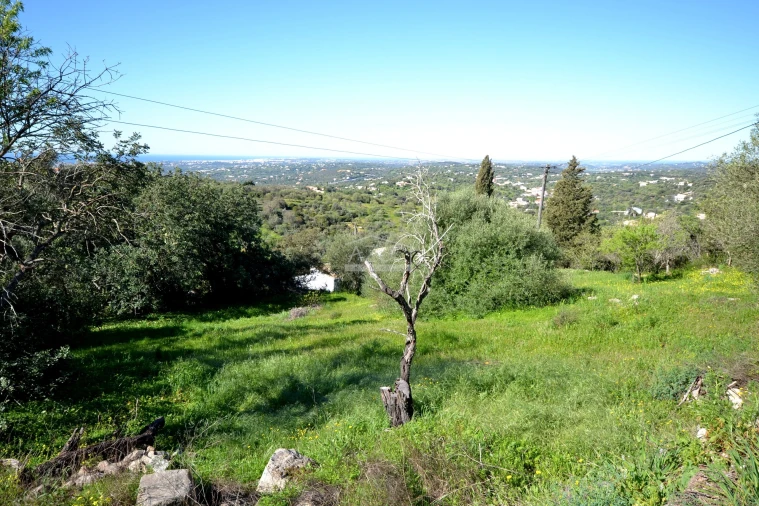 Terreno para Venda em Boliqueime Foto 5