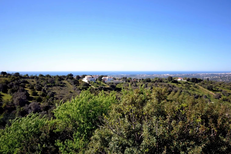 Terreno para Venda em Boliqueime Foto 2