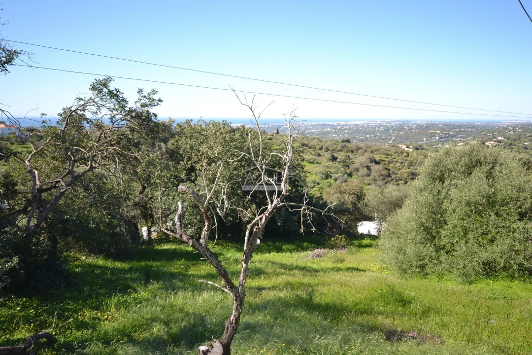 Terreno para Venda em Boliqueime Foto 6
