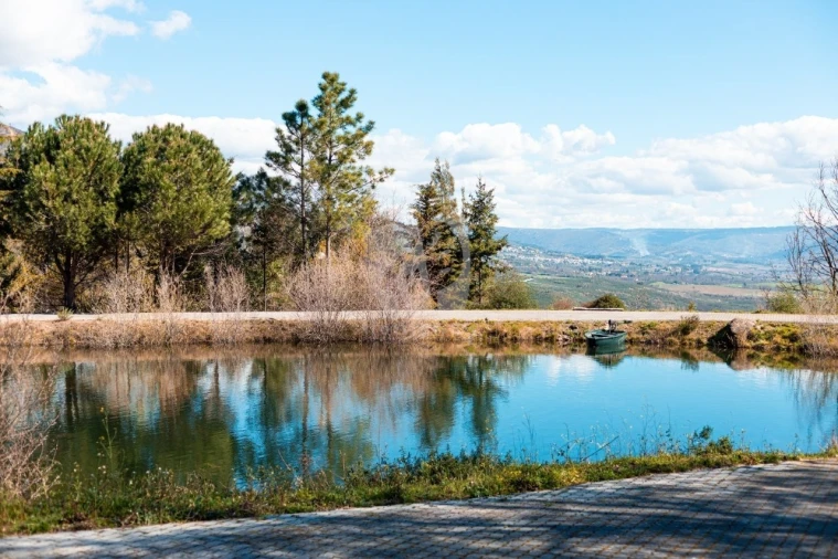 Quinta T3 para Venda em Guarda Foto 2