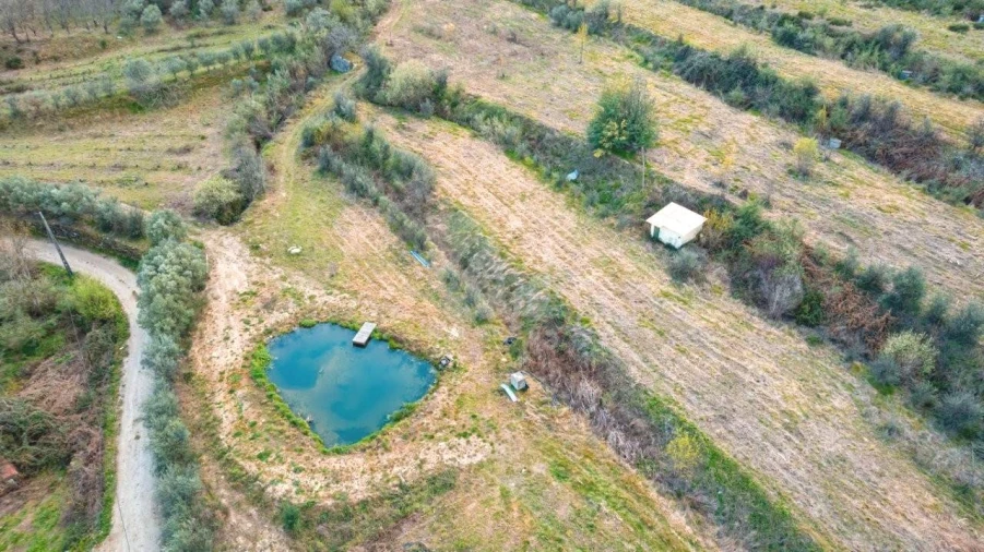 Quinta T3 para Venda em Guarda Foto 35