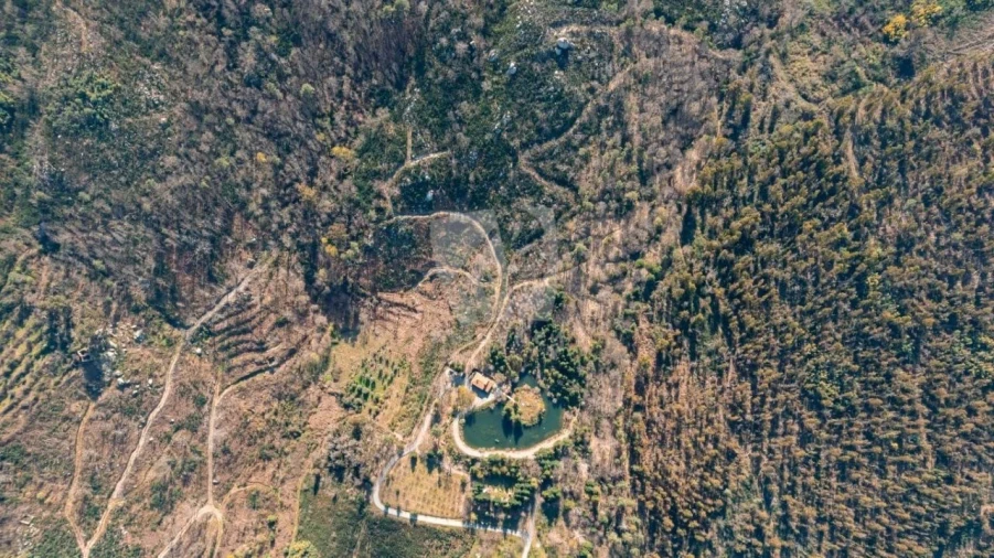 Quinta T3 para Venda em Guarda Foto 46