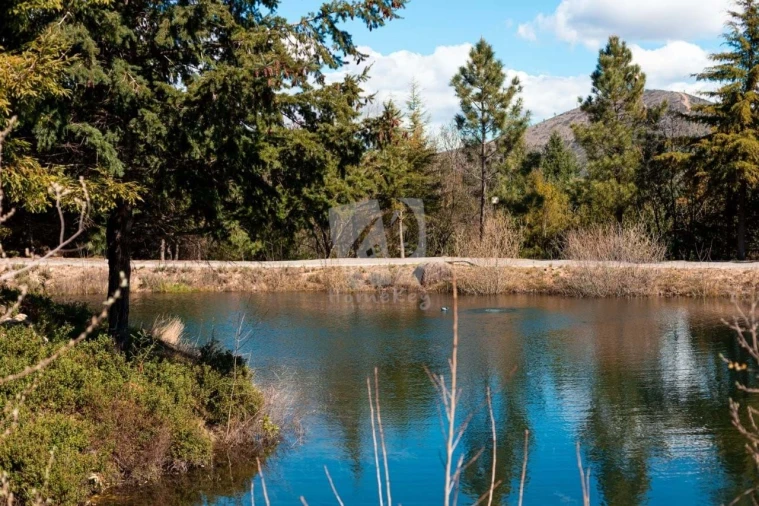 Quinta T3 para Venda em Guarda Foto 4