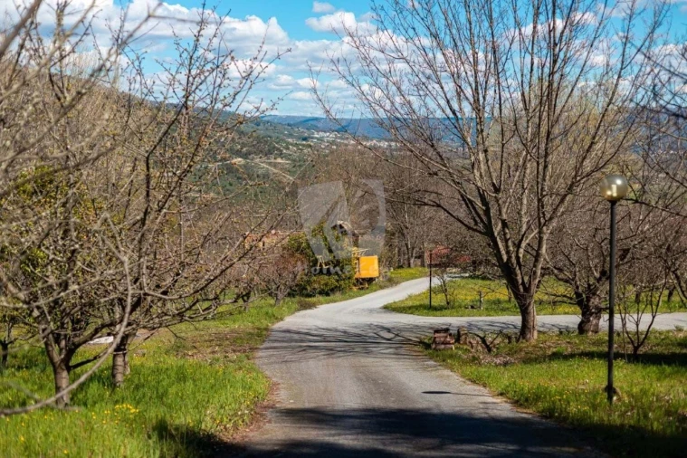 Quinta T3 para Venda em Guarda Foto 41