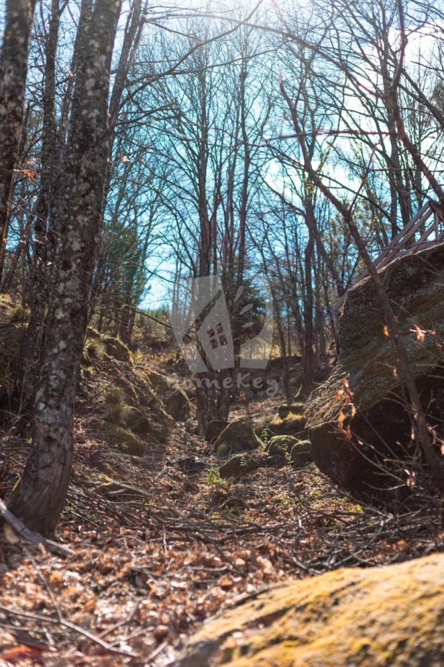 Quinta T3 para Venda em Guarda Foto 42