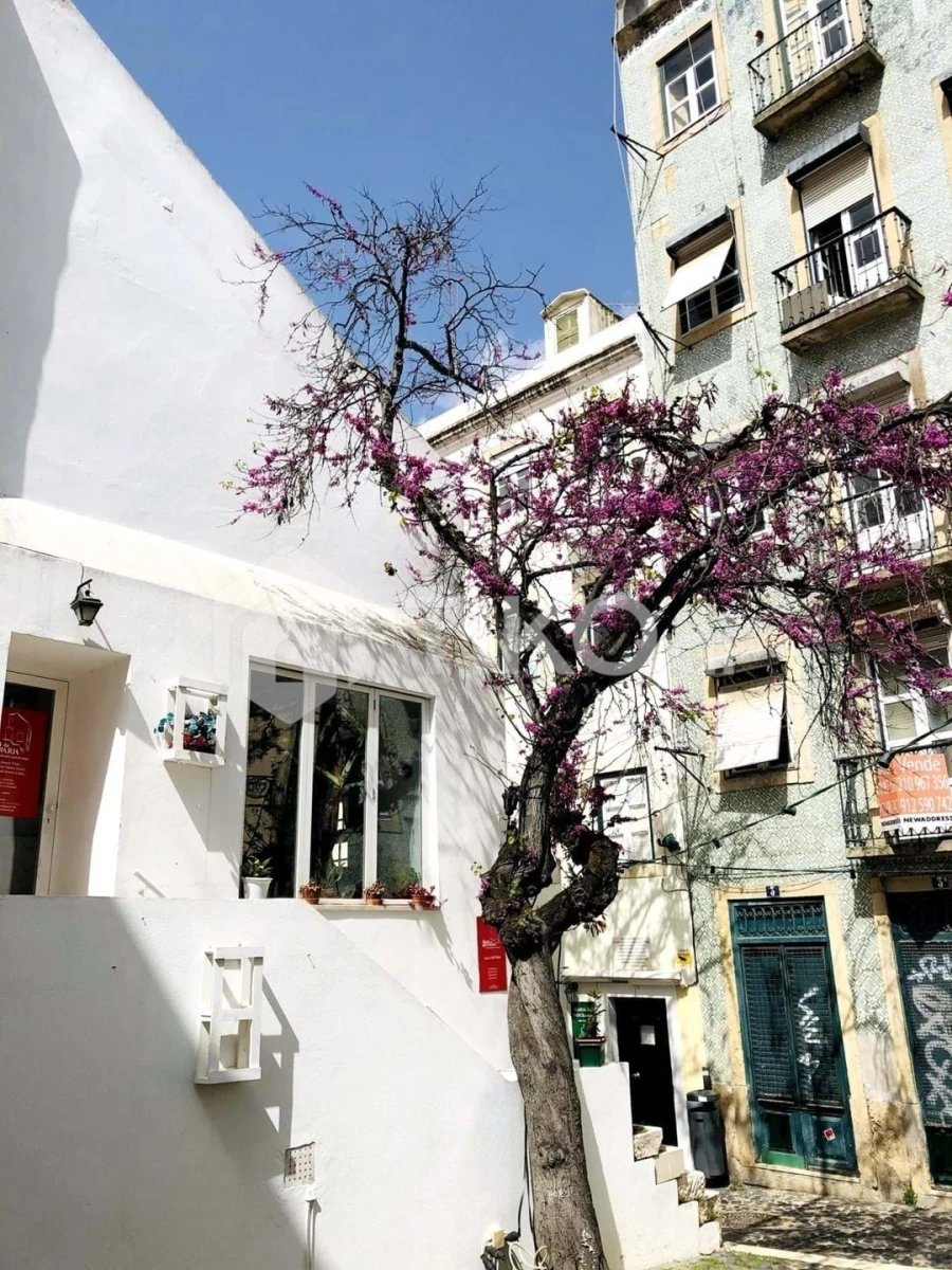 Moradia T2 para Venda em Ajuda Foto 10