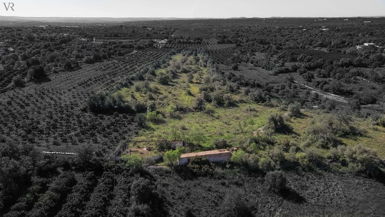 Terreno para Venda em São Bartolomeu de Messines Foto 6