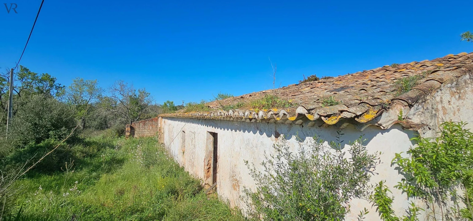 Terreno para Venda em São Bartolomeu de Messines Foto 15