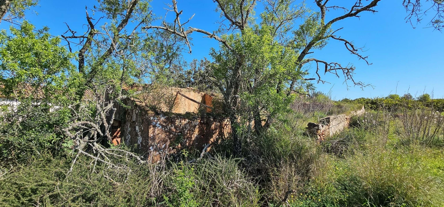Terreno para Venda em São Bartolomeu de Messines Foto 16