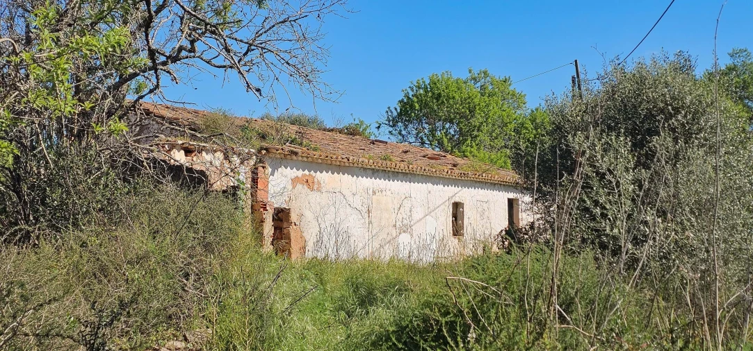 Terreno para Venda em São Bartolomeu de Messines Foto 4