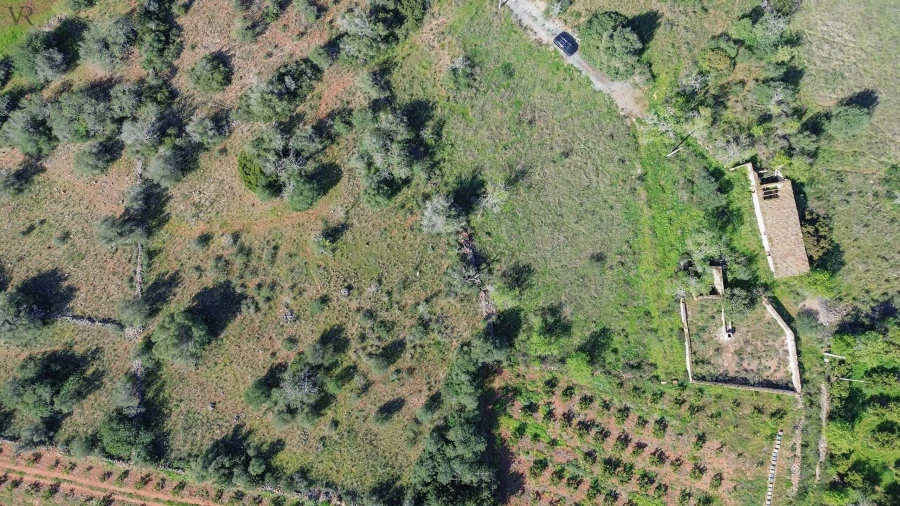 Terreno para Venda em São Bartolomeu de Messines Foto 9