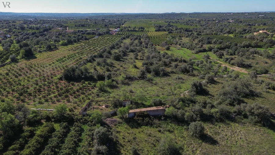 Terreno para Venda em São Bartolomeu de Messines Foto 5