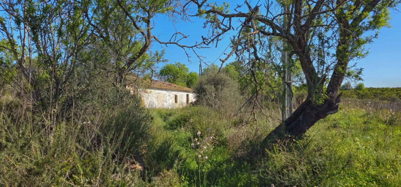 Terreno para Venda em São Bartolomeu de Messines Foto 20