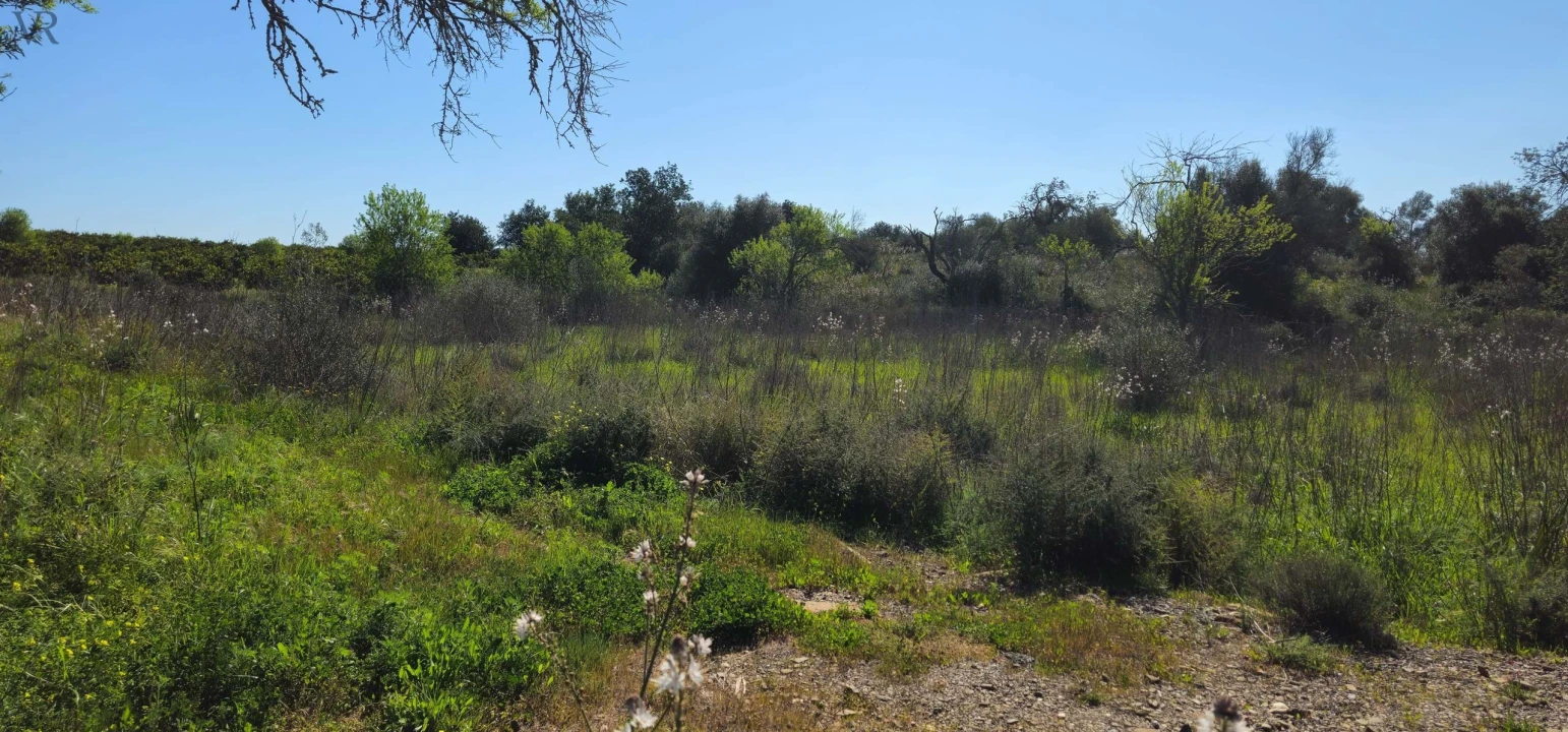 Terreno para Venda em São Bartolomeu de Messines Foto 18
