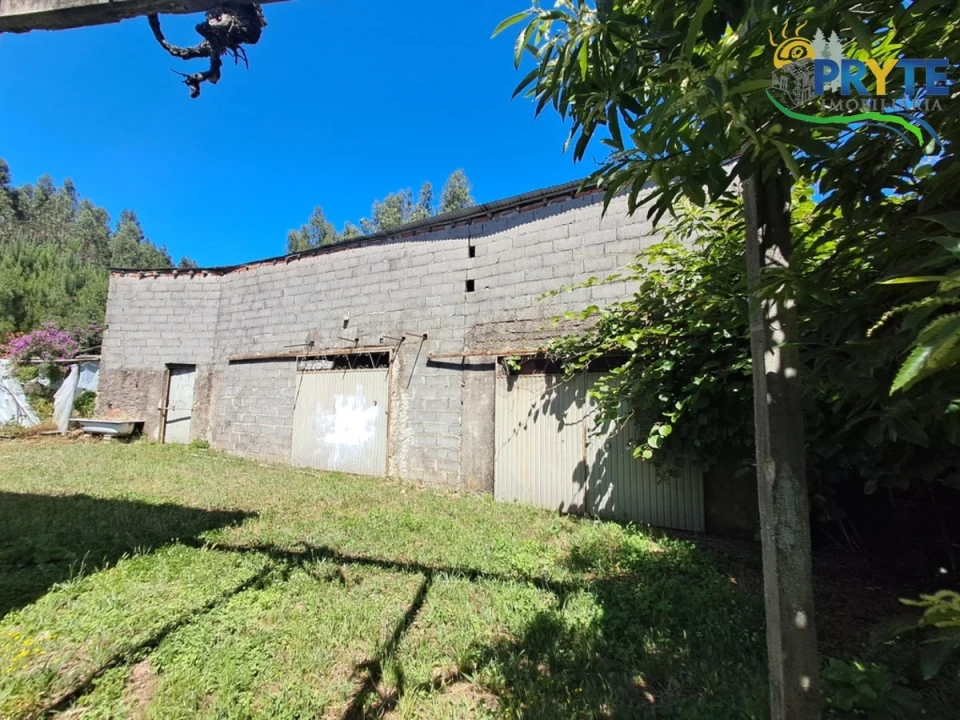 Quinta T4 para Venda em Cernache do Bonjardim, Nesperal e Palhais Foto 29