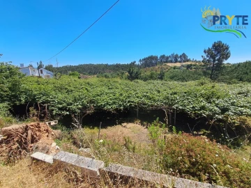 Quinta T4 para Venda em Cernache do Bonjardim, Nesperal e Palhais