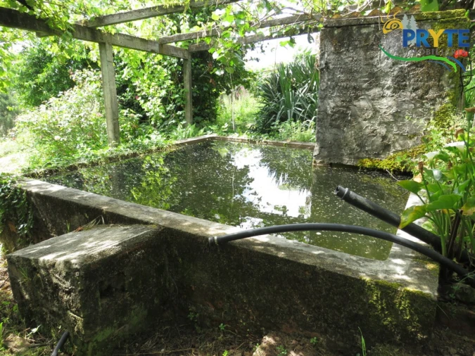 Quinta T4 para Venda em Cernache do Bonjardim, Nesperal e Palhais Foto 5