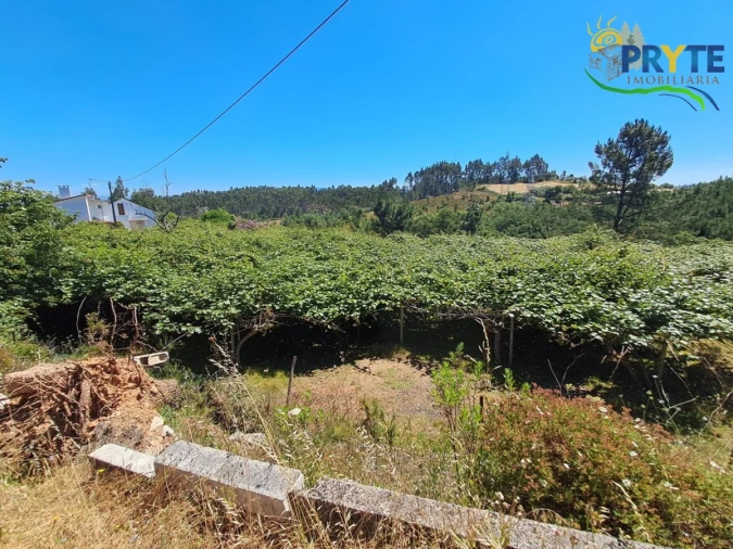 Quinta T4 para Venda em Cernache do Bonjardim, Nesperal e Palhais Foto 30