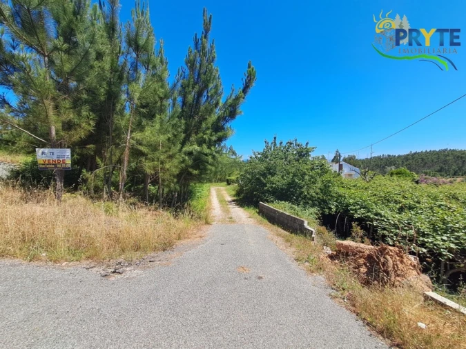 Quinta T4 para Venda em Cernache do Bonjardim, Nesperal e Palhais Foto 31