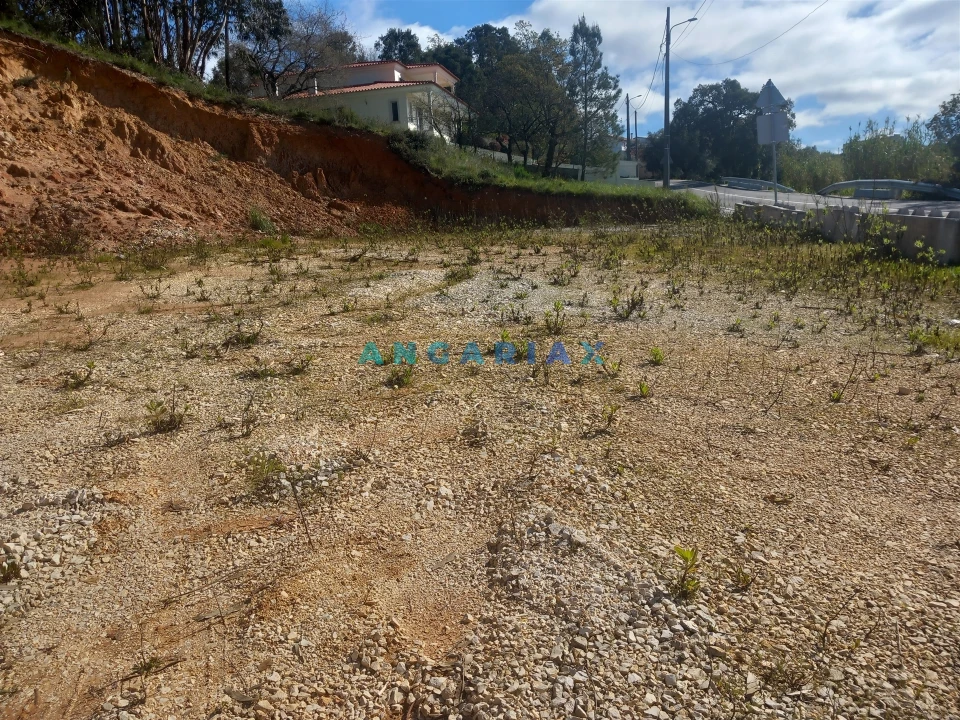 Terreno para Venda em Pelariga Foto 3