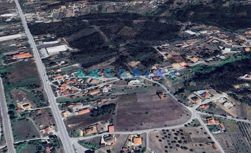 Terreno para Venda em Pelariga Foto 12