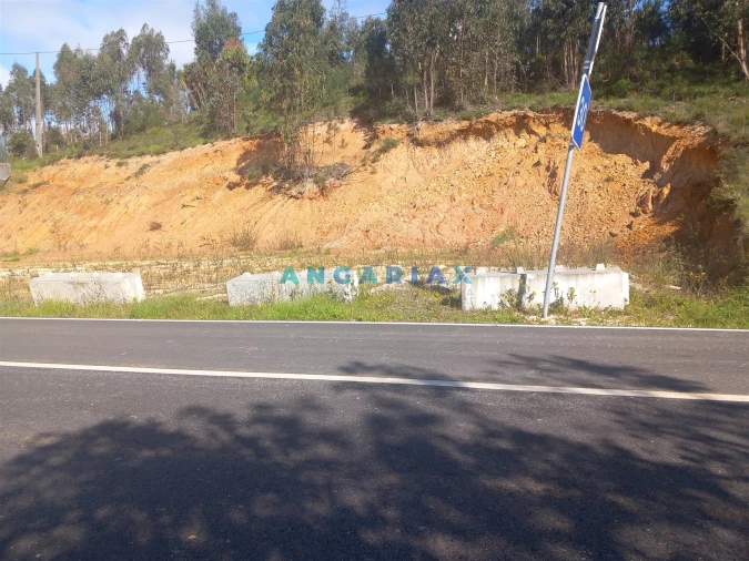 Terreno para Venda em Pelariga Foto 5
