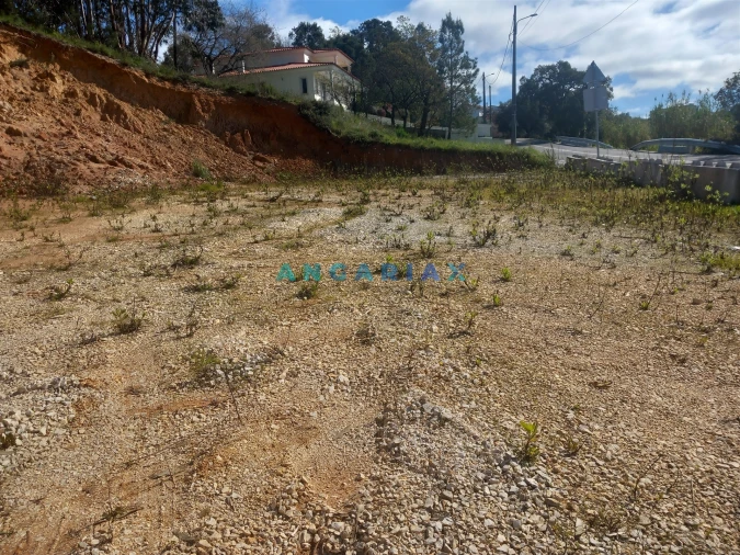 Terreno para Venda em Pelariga Foto 3