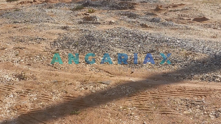 Terreno para Venda em Pelariga