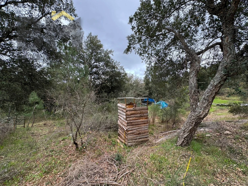 Terreno Agricola ou Rústico para Venda em Salgueiro do Campo Foto 7
