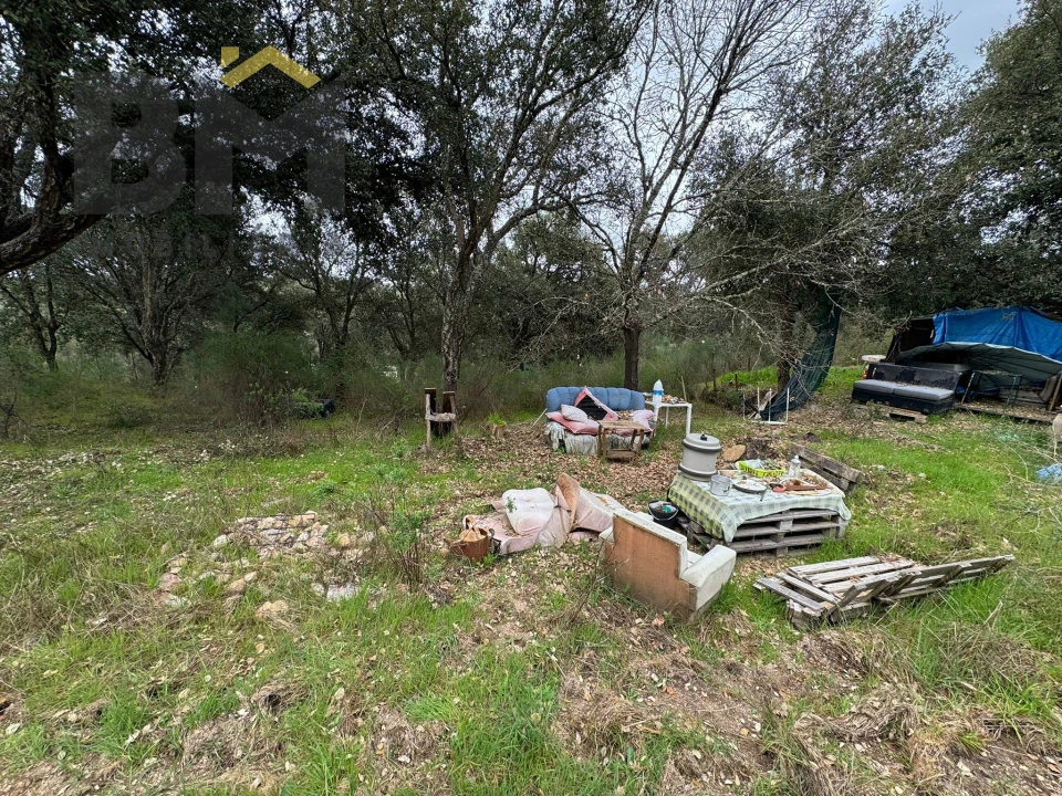 Terreno Agricola ou Rústico para Venda em Salgueiro do Campo Foto 4