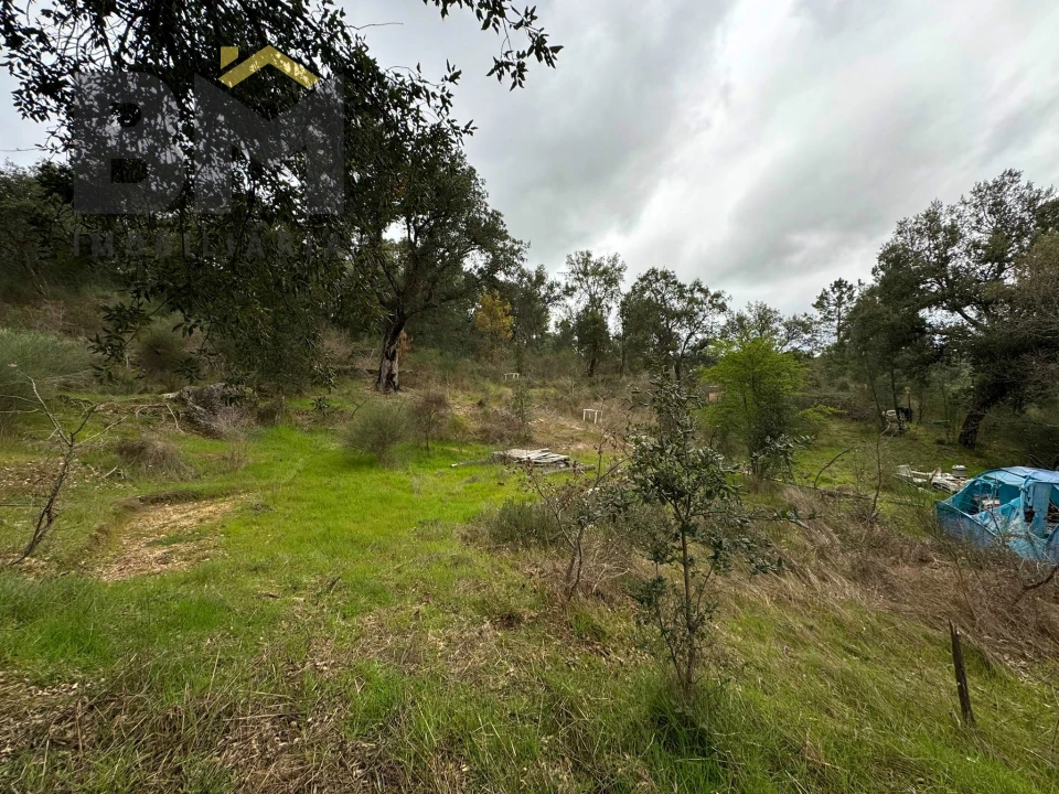 Terreno Agricola ou Rústico para Venda em Salgueiro do Campo Foto 10
