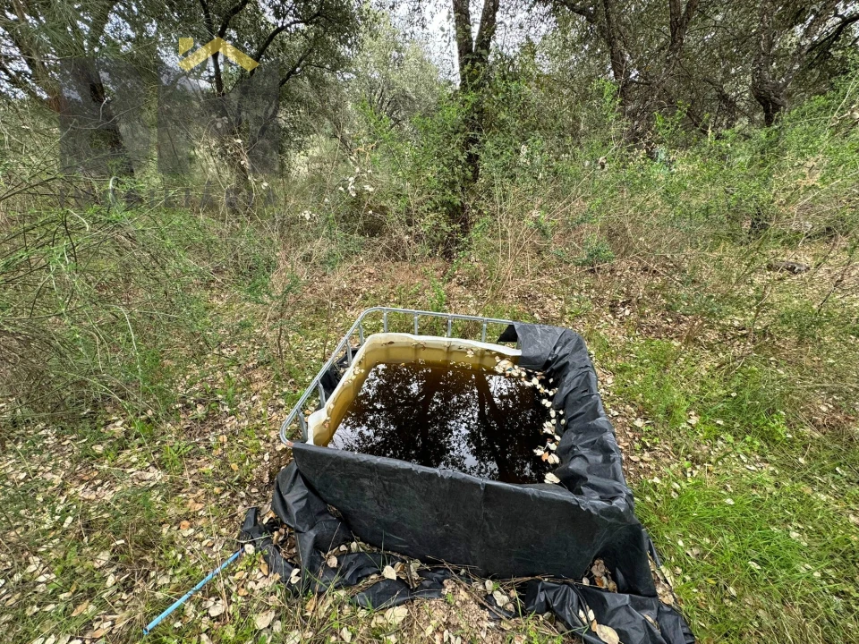 Terreno Agricola ou Rústico para Venda em Salgueiro do Campo Foto 9