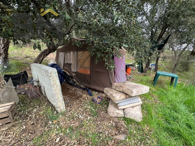 Terreno Agricola ou Rústico para Venda em Salgueiro do Campo Foto 3