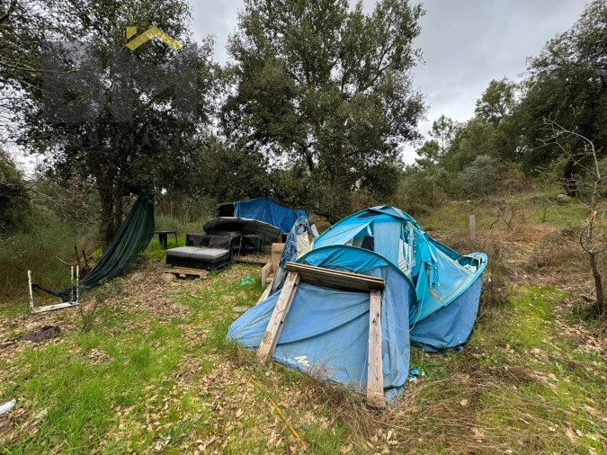 Terreno Agricola ou Rústico para Venda em Salgueiro do Campo Foto 2