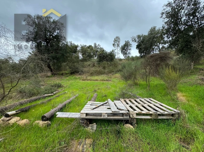 Terreno Agricola ou Rústico para Venda em Salgueiro do Campo Foto 6