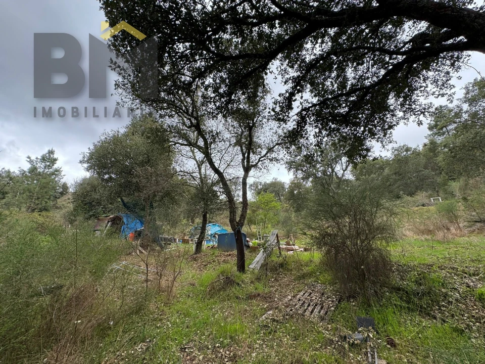 Terreno Agricola ou Rústico para Venda em Salgueiro do Campo Foto 8