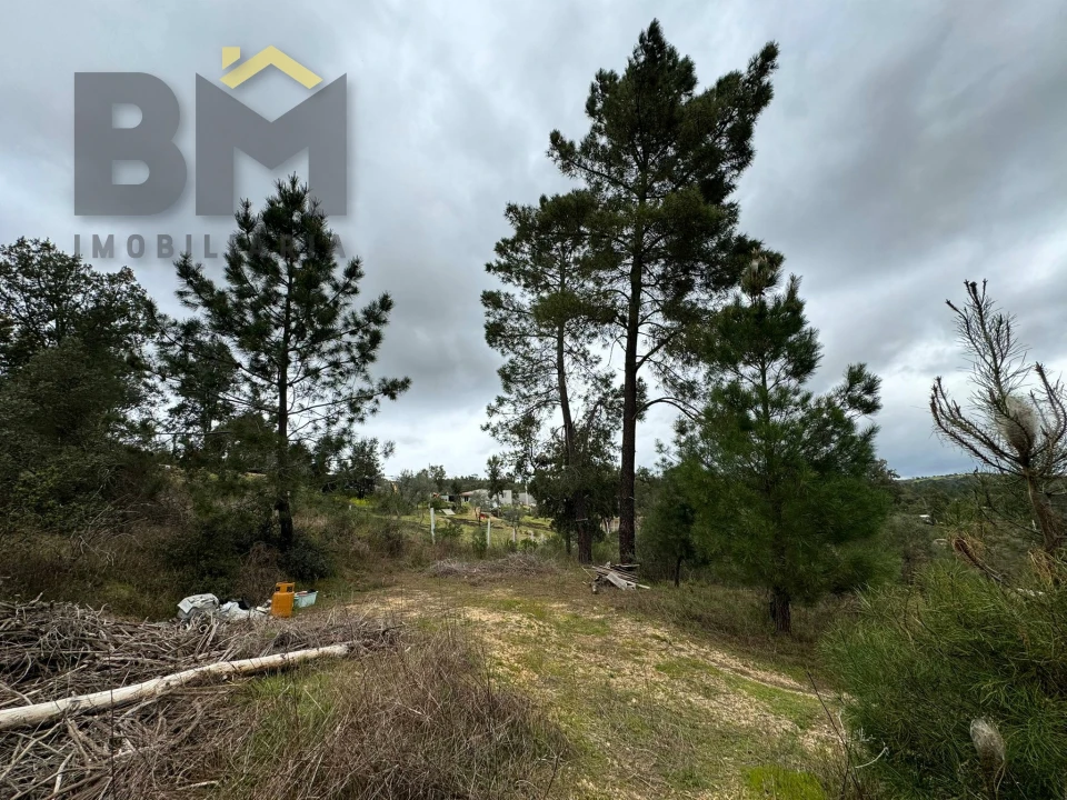 Terreno Agricola ou Rústico para Venda em Salgueiro do Campo Foto 12