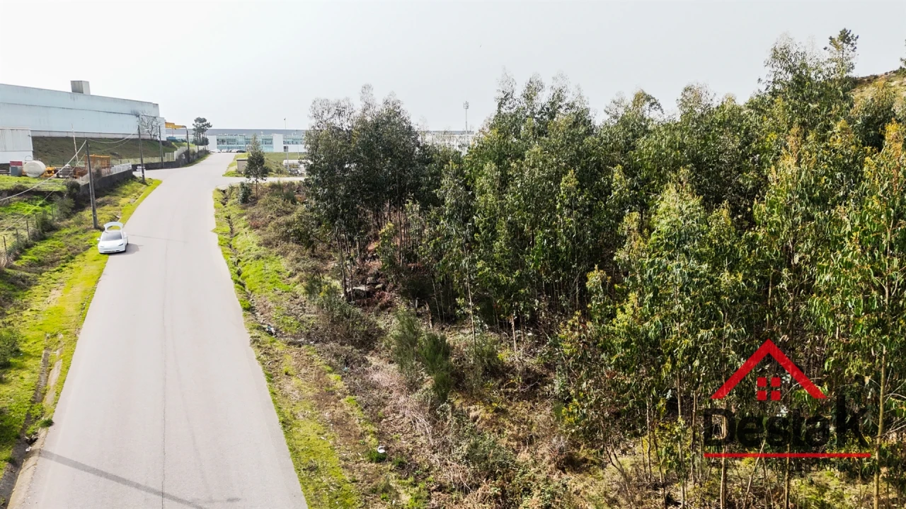 Terreno para Venda em Pinheiro Foto 13
