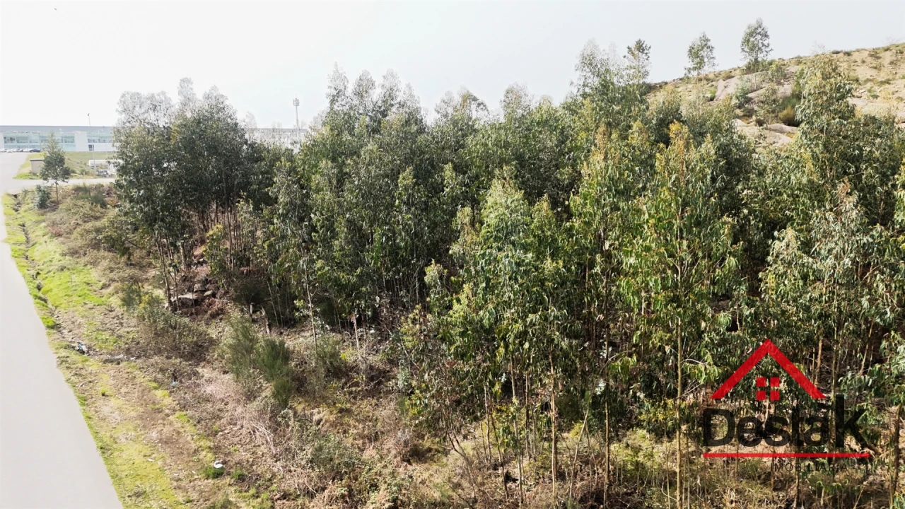 Terreno para Venda em Pinheiro Foto 14