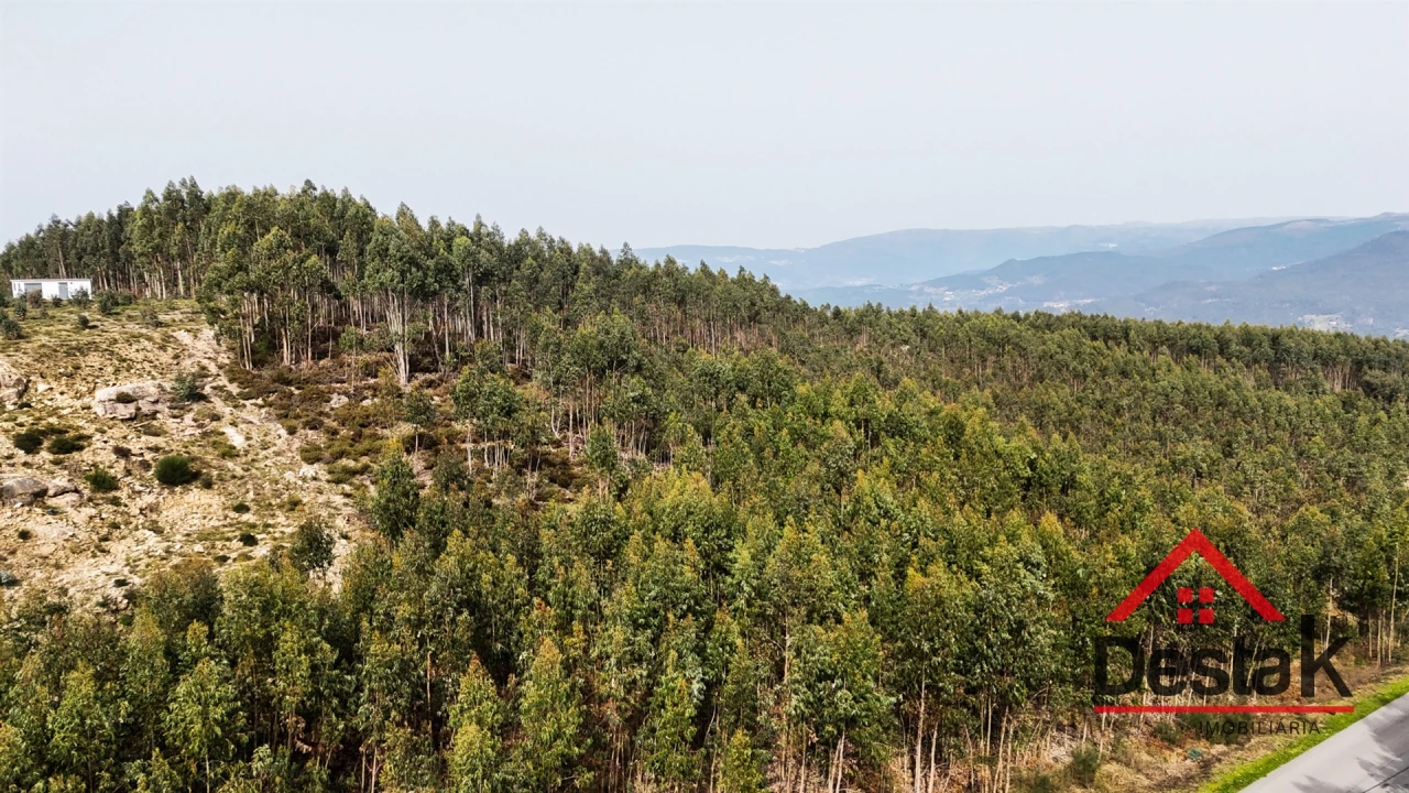 Terreno para Venda em Pinheiro Foto 7