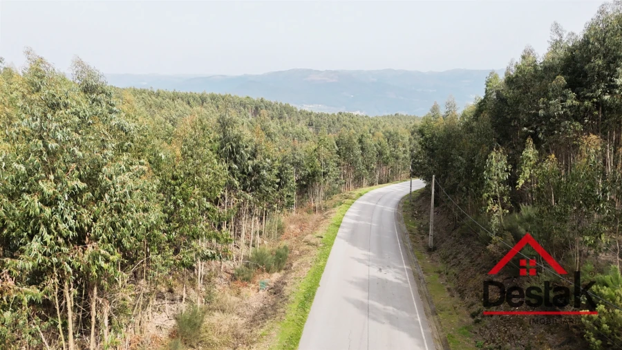 Terreno para Venda em Pinheiro Foto 15